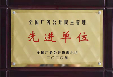 球速厂务公开先进奖状